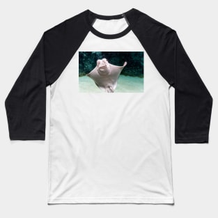 Cownose ray underwater Baseball T-Shirt